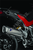GR. SCARICO COMPLETO RACING 1504-Ducati